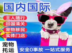 美兰机场邮寄国际宠物托运 【国